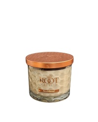 Sandalwood 3 Wick Root Candle from Eagledale Florist in Indianapolis, IN