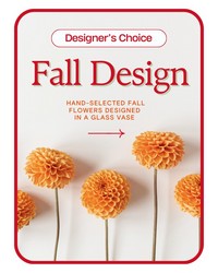 Designer's Choice Fall Design