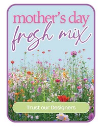 Designer's Choice Mother's Day Arrangement Designer's Choice Mother's Day Arrangement