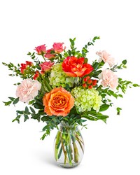 Rooted in Love Rooted in Love