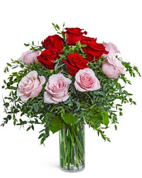 One Dozen Perfect Pink and Red Roses One Dozen Perfect Pink and Red Roses