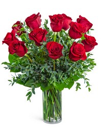 One Dozen Red Hot Roses One Dozen Red Hot Roses