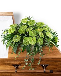 Tropical Haven Casket Spray from Eagledale Florist in Indianapolis, IN