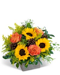 Woodland Sunshine from Eagledale Florist in Indianapolis, IN