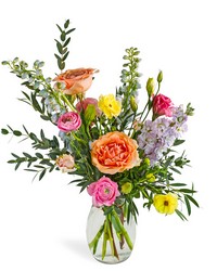 Sunlite Joy Sunlite Joy