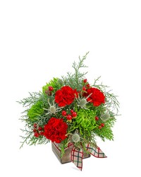 Plaid Tidings from Eagledale Florist in Indianapolis, IN