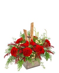 Woodland Cardinal Cheer from Eagledale Florist in Indianapolis, IN