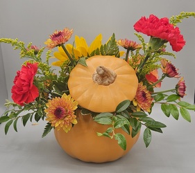 Pumpkin Harvest from Eagledale Florist in Indianapolis, IN